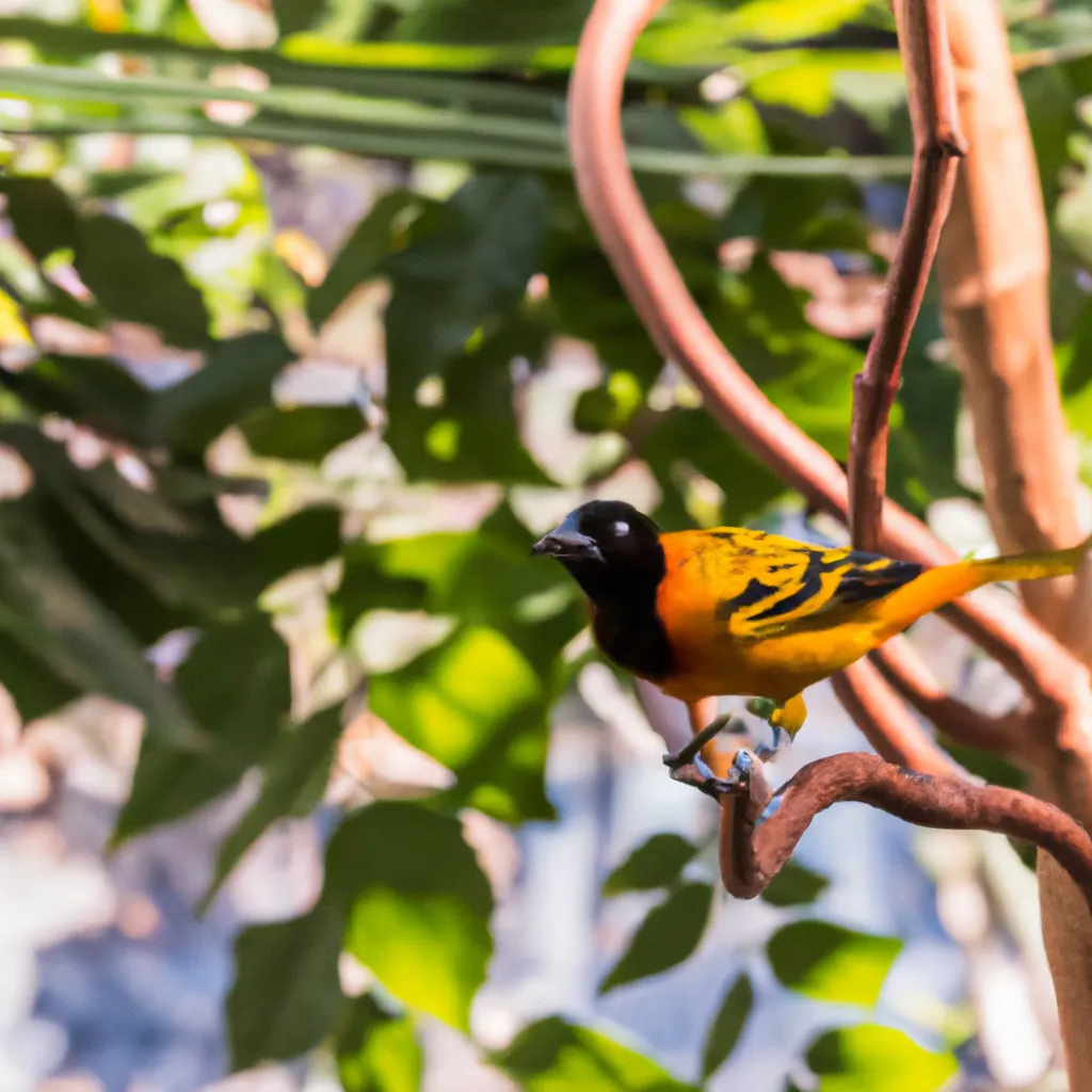 Ile żyją ptaki i od czego to zależy?