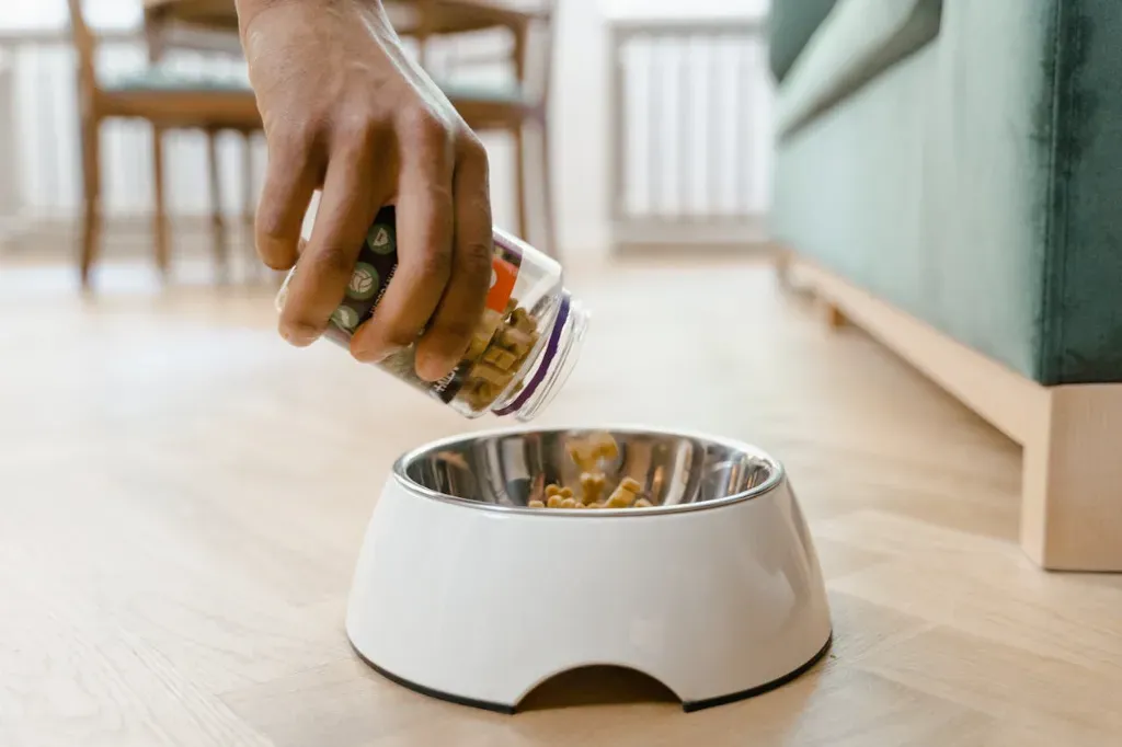 Poradnik dla właścicieli psów