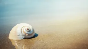 Wakacje nad morzem z dziećmi