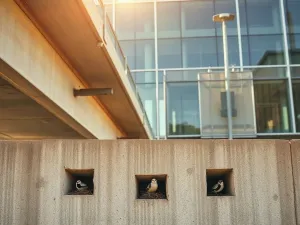 Koliber zawisający nad kolorowym kwiatem polnym, pełniący rolę aktywnego zapylacza w słonecznym ogrodzie.
